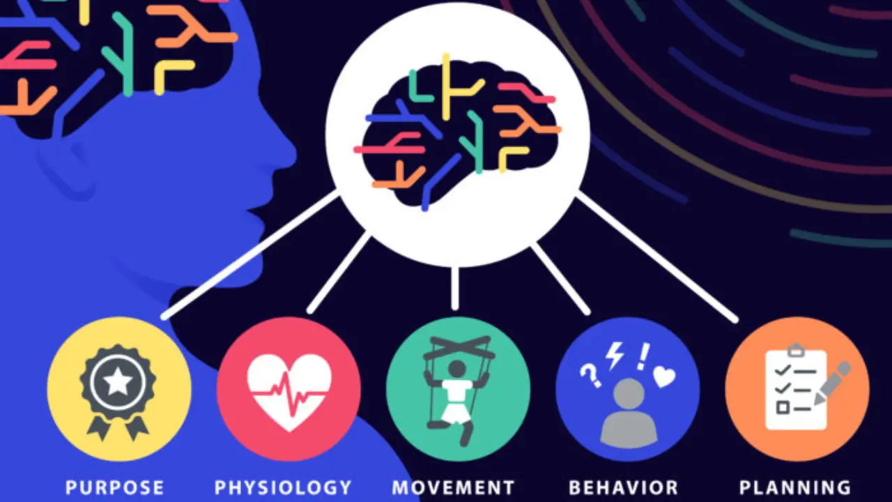 mind body connection